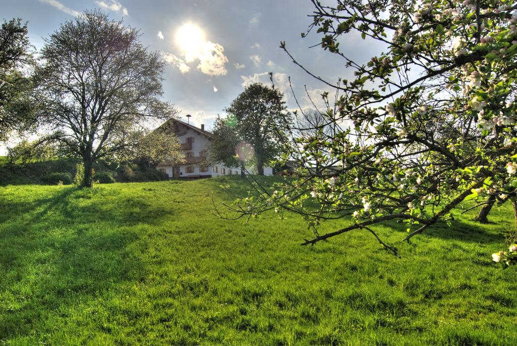 Bio Ferienhof Heiler Feldkirchen-Westerham Exteriör bild